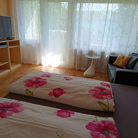 Offenburg Apartment Екстер'єр фото