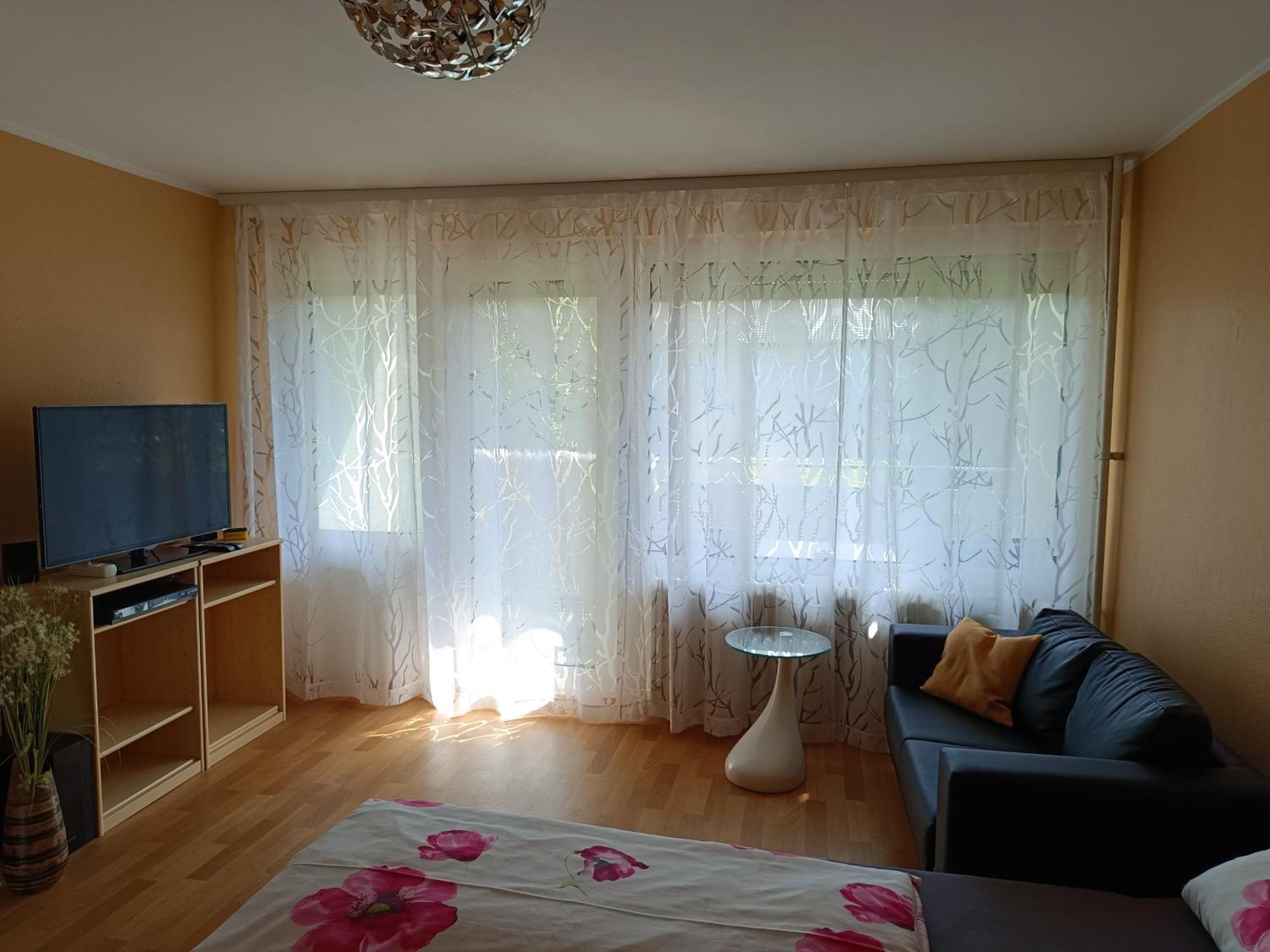 Offenburg Apartment Екстер'єр фото