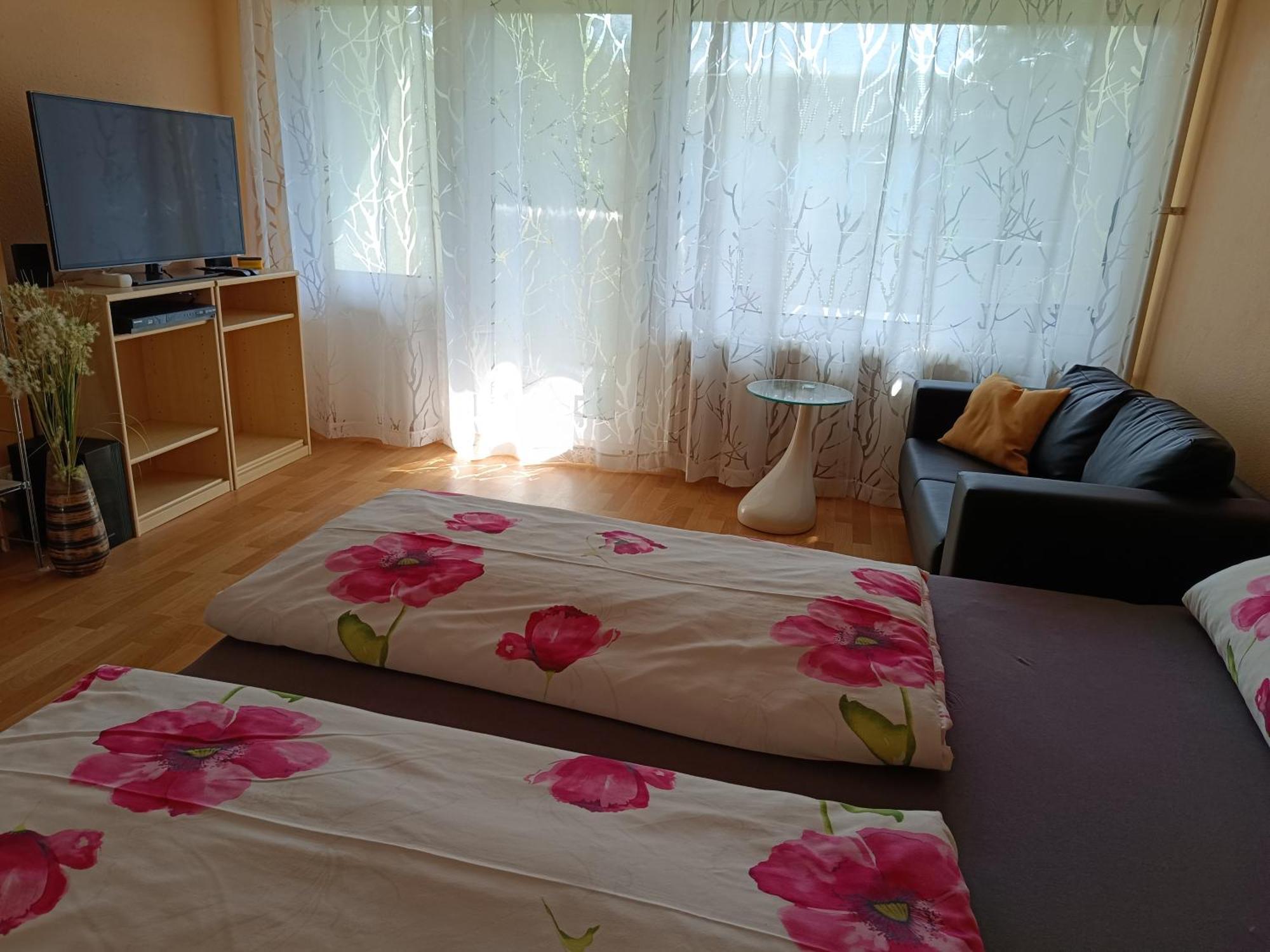 Offenburg Apartment Екстер'єр фото