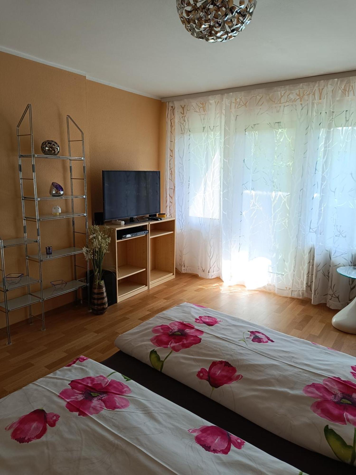 Offenburg Apartment Екстер'єр фото