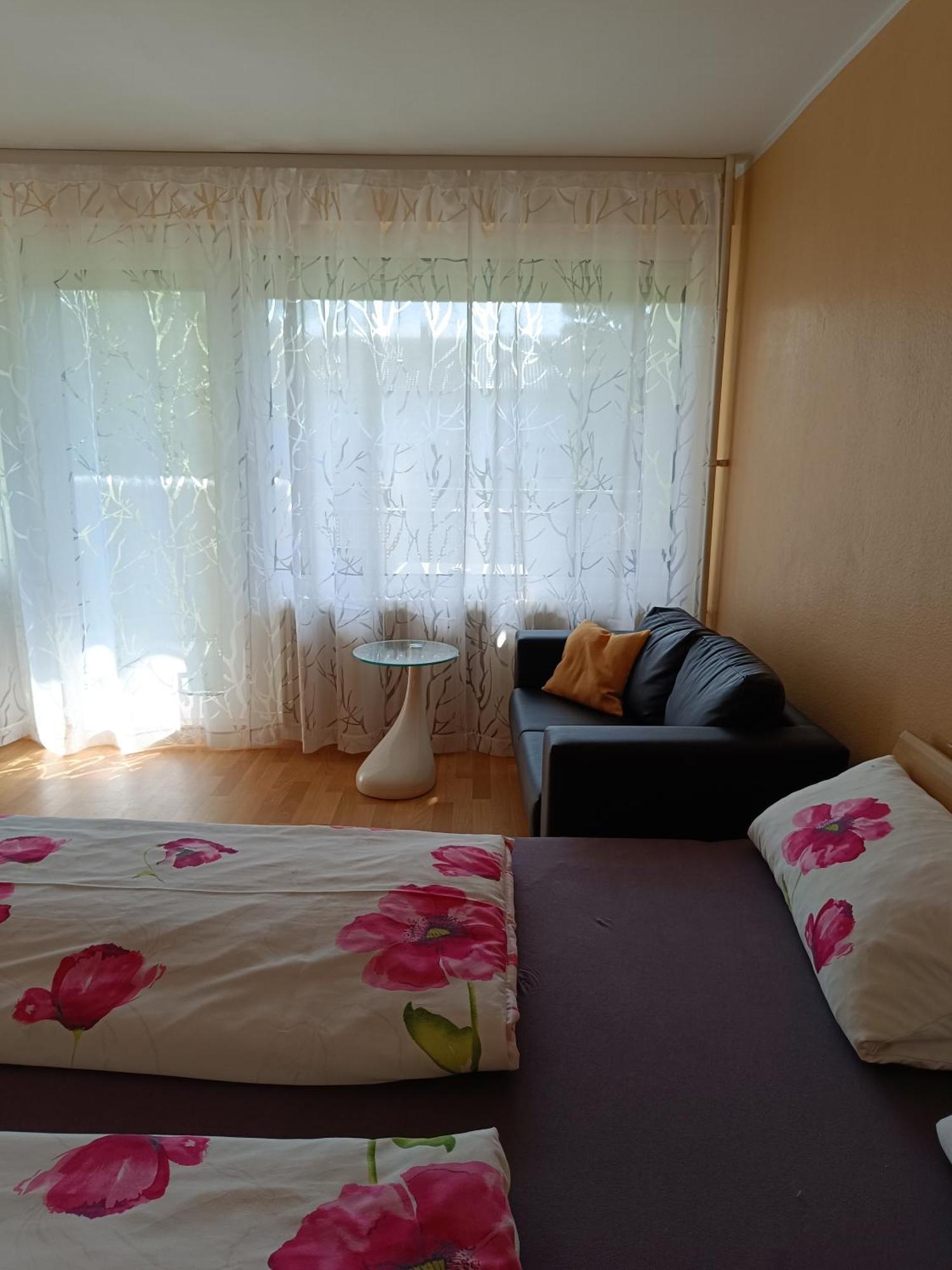 Offenburg Apartment Екстер'єр фото